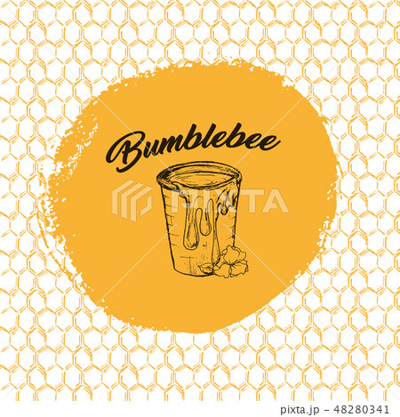 Honey Bee, Sketch Logo Design with Honeycomb Pattern. Vintage hand drawn isolated illustration. Honey Bee, Sketch Logo Design with Honeycomb Pattern. Vintage hand drawn isolated illustration. 48280341