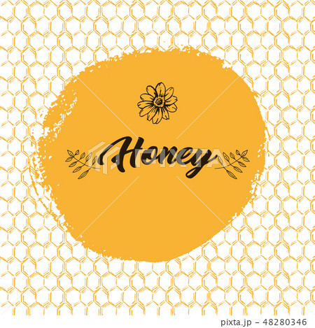Honey Bee, Sketch Logo Design with Honeycomb Pattern. Vintage hand drawn isolated illustration. 48280346