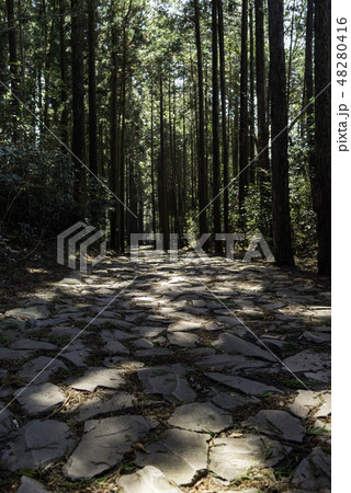 旧東海道石畳 48280416