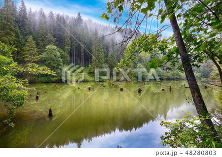 view of mountain lake Lacul Rosu or Red Lake 48280803