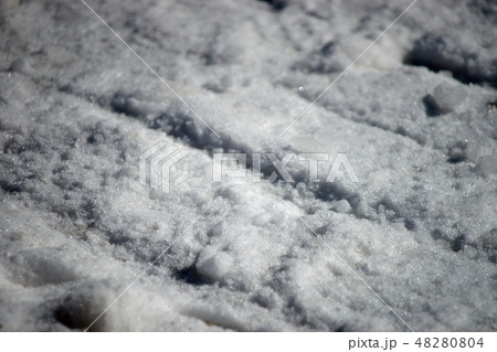 雪面・轍のアップ 48280804