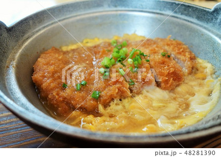 カツの卵とじ カツの卵とじ 48281390