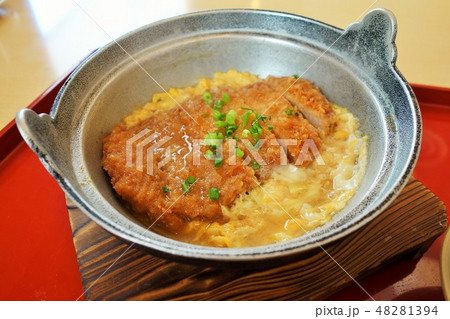 カツの卵とじ カツの卵とじ 48281394