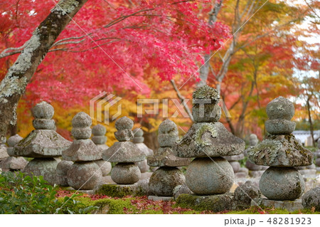 京都　あだしの念仏寺 48281923