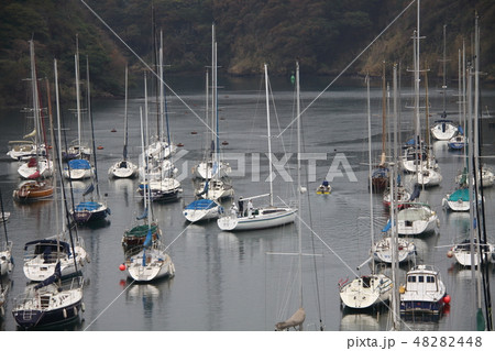 油壷ヨットハーバー 48282448