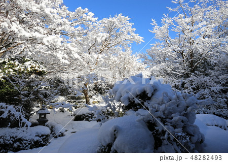 源光庵　雪景色　 48282493