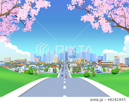 桜 街 道路 住宅街 都市 青空 風景のイラスト素材 4845
