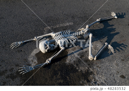 Fake human skeleton lying on paved road. 48283532