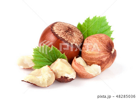 Hazelnuts with leaves isolated on white background Hazelnuts with leaves isolated on white background 48285036