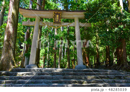 那智の滝　飛瀧神社 48285039