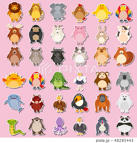 Mega animal sticker pack Mega animal sticker pack 48285443