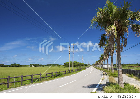 夏の黒島 日本の道100選 48285557