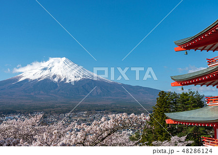 富士山　忠霊塔　満開の桜　新倉山浅間公園　春のイメージ　染井吉野　青空の自然背景　山梨県　富士吉田市 48286124