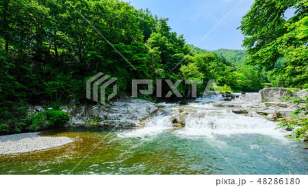 大川七滝 （岩泉町） 48286180