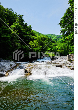 大川七滝 （岩泉町） 48286188