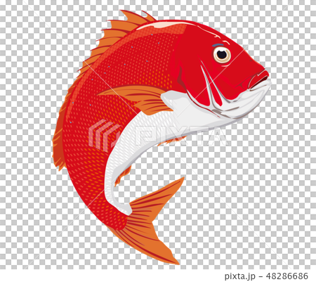 punsch clipart fish