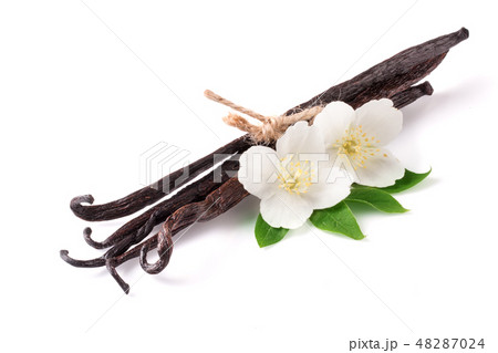 Vanilla sticks with flower and leaf isolated on white background Vanilla sticks with flower and leaf isolated on white background 48287024
