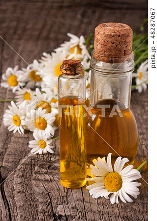 bottle with essential oil and fresh chamomile flowers on a old wooden background bottle with essential oil and fresh chamomile flowers on a old wooden background 48287067
