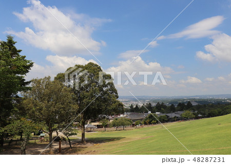 奈良公園・若草山 48287231