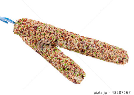 food for parrots on a stick isolated white background food for parrots on a stick isolated white background 48287567