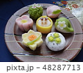春の和菓子 48287713
