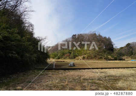 2月の寺家ふるさと村 2月の寺家ふるさと村 48287880