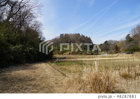 2月の寺家ふるさと村 2月の寺家ふるさと村 48287881