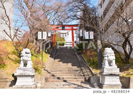 仙台市 榴岡天満宮 仙台市 榴岡天満宮 48288034