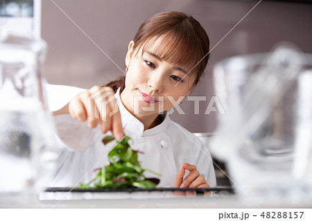 調理師　女性　料理　シェフ 48288157