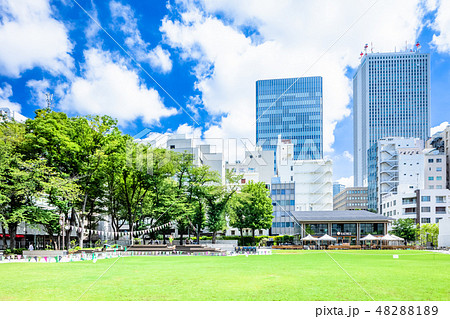 東京 夏の南池袋公園 東京 夏の南池袋公園 48288189