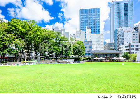 東京 夏の南池袋公園 東京 夏の南池袋公園 48288190