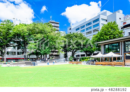東京 夏の南池袋公園 東京 夏の南池袋公園 48288192