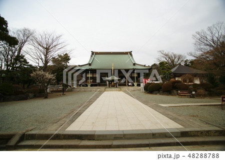 藤沢市　遊行寺「本堂」 48288788