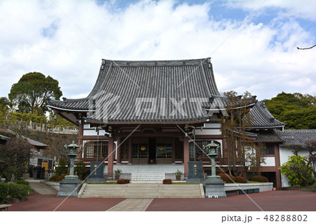 横浜・本覚寺 横浜・本覚寺 48288802