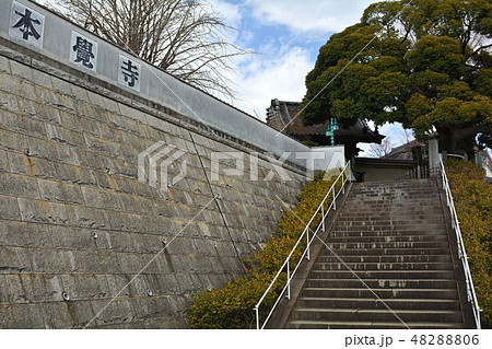 横浜・本覚寺 横浜・本覚寺 48288806
