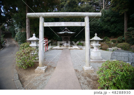 藤沢市　遊行寺「宇賀神社」 48288930