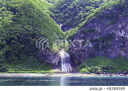 知床半島　夏景 48289389