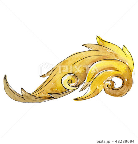 Gold monogram floral ornament. Baroque design isolated elements. Watercolor background illustration 48289694