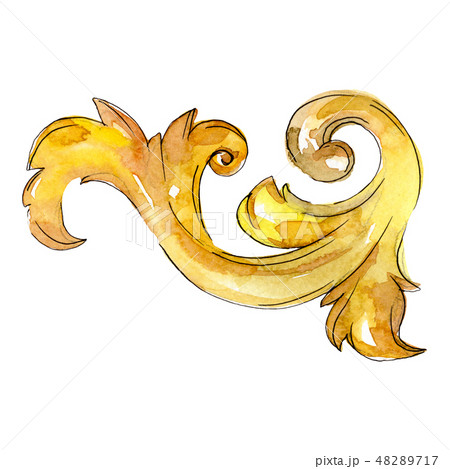 Gold monogram floral ornament. Baroque design isolated elements. Watercolor background illustration 48289717