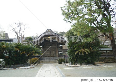 藤沢市　遊行寺「中雀門」 48289740
