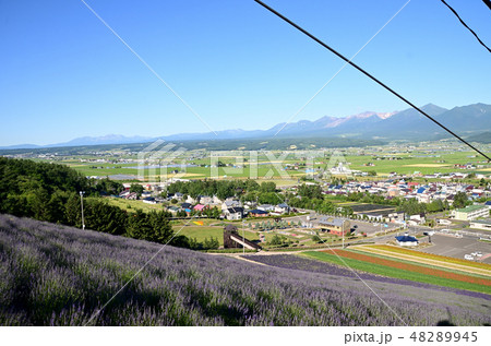 中富良野町営ラベンダー園からの富良野盆地と十勝岳連峰 48289945