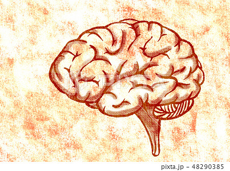 グラフィックアート 48290385