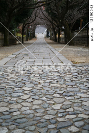 藤沢市 遊行寺「いろは坂」 藤沢市 遊行寺「いろは坂」 48290648