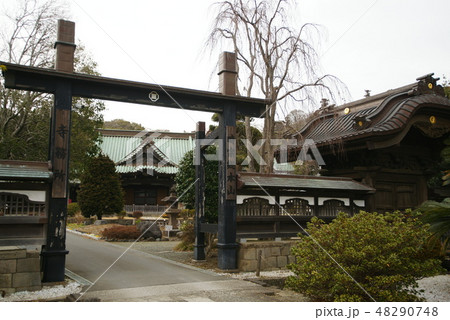 藤沢市　遊行寺「黒門］ 48290748