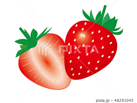 イチゴとその断面のイラスト素材 48291045 Pixta