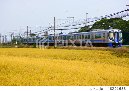 色付く稲穂と西鉄特急・3000形 48291688