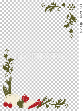 蔬菜框架 48291811