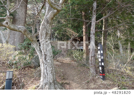 妙義山城 妙義山城 48291820