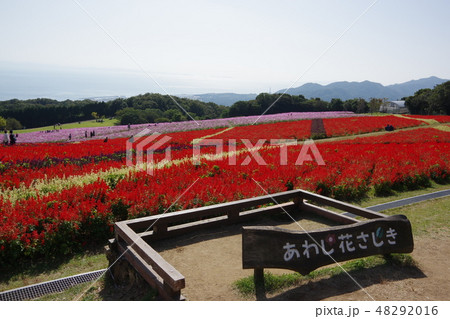 はなさじき はなさじき 48292016