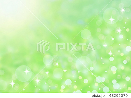 新緑と光 背景 新緑と光 背景 48292070